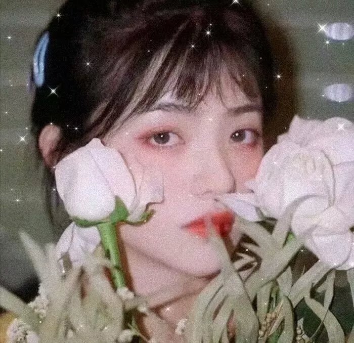 牙狼:魔戒之花